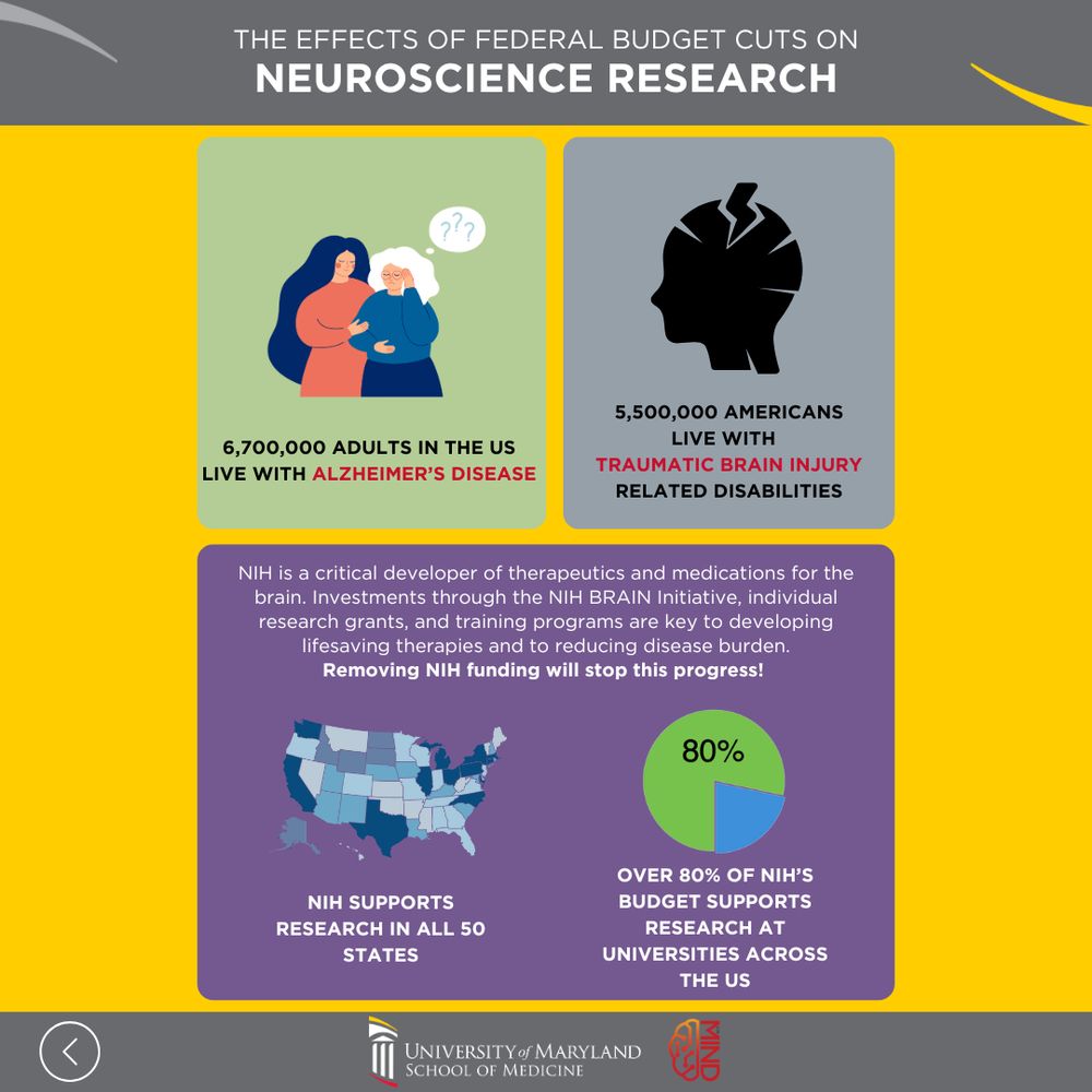 infographic on the effects of federal budget cuts on neuroscience research, showing graphics depicting the following points: 1) 6.7 million adults in the US live with Alzheimer's disease; 2) 5.5 million Americans live with traumatic brain injury related disabilities; 3) NIH is a critical developer of therapeutics and medications for the brain. Investments through the NIH BRAIN Initiative, individual research grants, and training programs are key to developing lifesaving therapies and to reducing disease burden. Removing NIH funding will stop this progress! NIH supports research in all 50 states; over 80% of NIH's budget supports research at universities across the US.