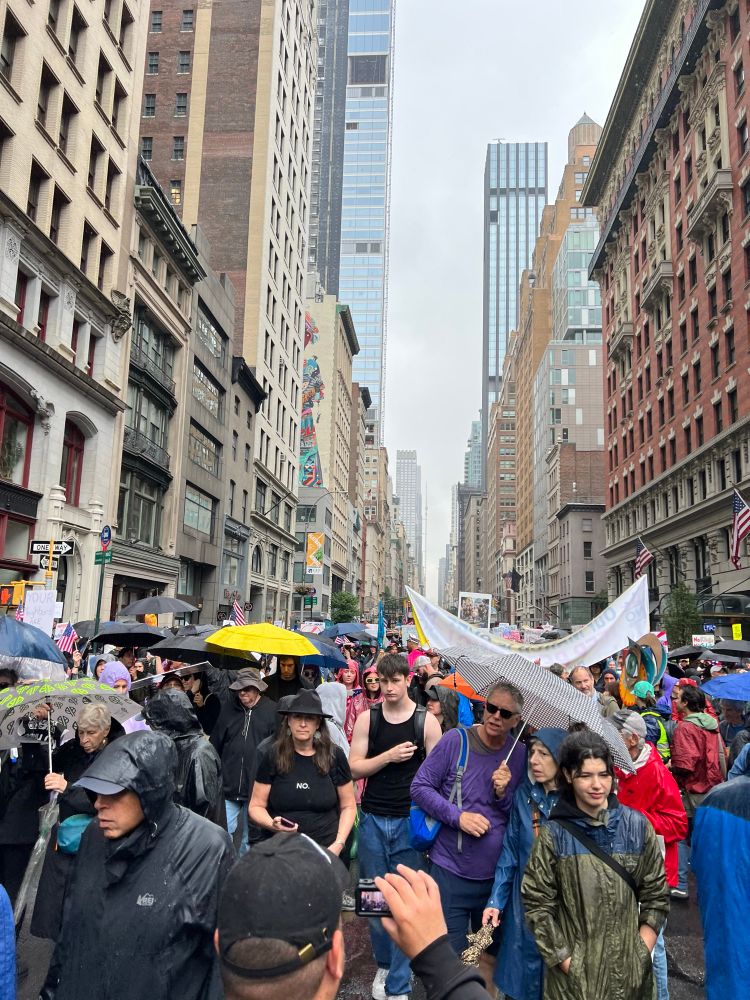 Picture of the crowd on 5th Avenue