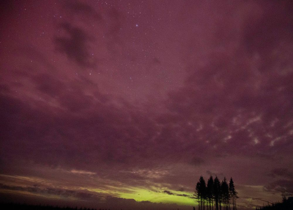 Stars and green aurora (Olympic Peninsula, around 9pm 11/11/2025) 