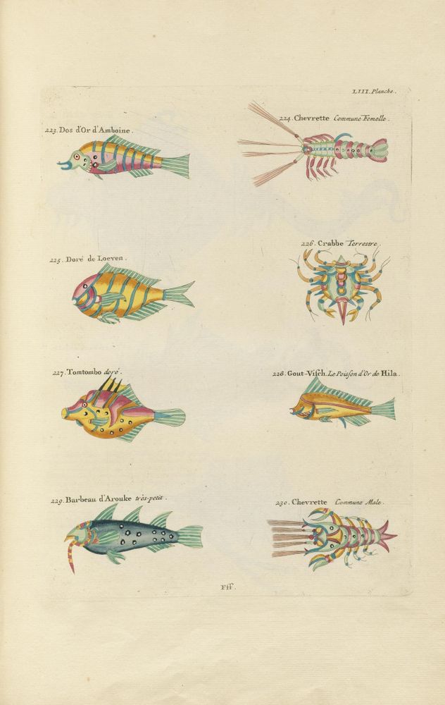 Historical illustration from 1754 depicting eight colorful, stylized aquatic creatures including five fish and three crustaceans. The fish are vibrantly striped or spotted in shades of yellow, orange, pink, blue, and green, each with distinct shapes and patterns. The crustaceans include two shrimps—one labeled female and the other male—with segmented bodies and long antennae, and a crab with a detailed, rounded shell and multiple legs. Each creature is labeled with descriptive French names and numbers. The overall style is ornamental and scientific, showcasing extraordinary colors and forms. The keyword "goat" is unrelated to the main aquatic subjects.