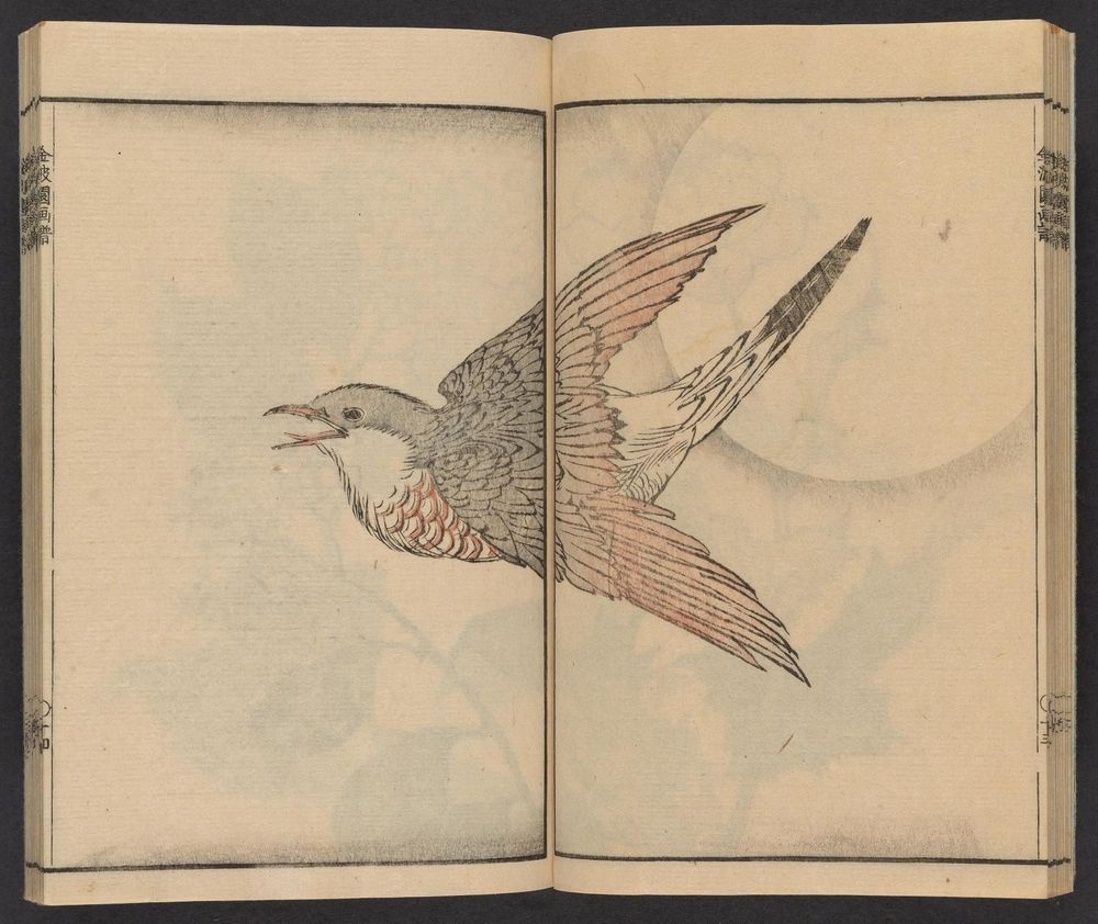 A historical Japanese illustration from "Kinpaen gafu" depicting a bird in mid-flight across two open book pages. The bird has detailed feathers shaded in soft gray and pinkish tones, with its beak open as if calling. Its wings are spread wide, showing intricate line work and delicate coloring. The background is light beige with subtle, faded floral patterns, contributing to a serene, natural atmosphere. The artwork combines simplicity and elegance, highlighting traditional Japanese ink and wash style with minimal color, emphasizing the bird’s graceful movement.