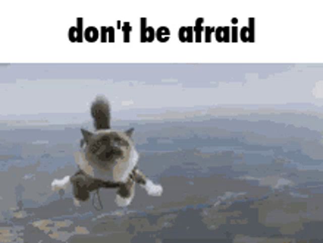 a cat is flying through the air with the words " do n't be afraid " above it