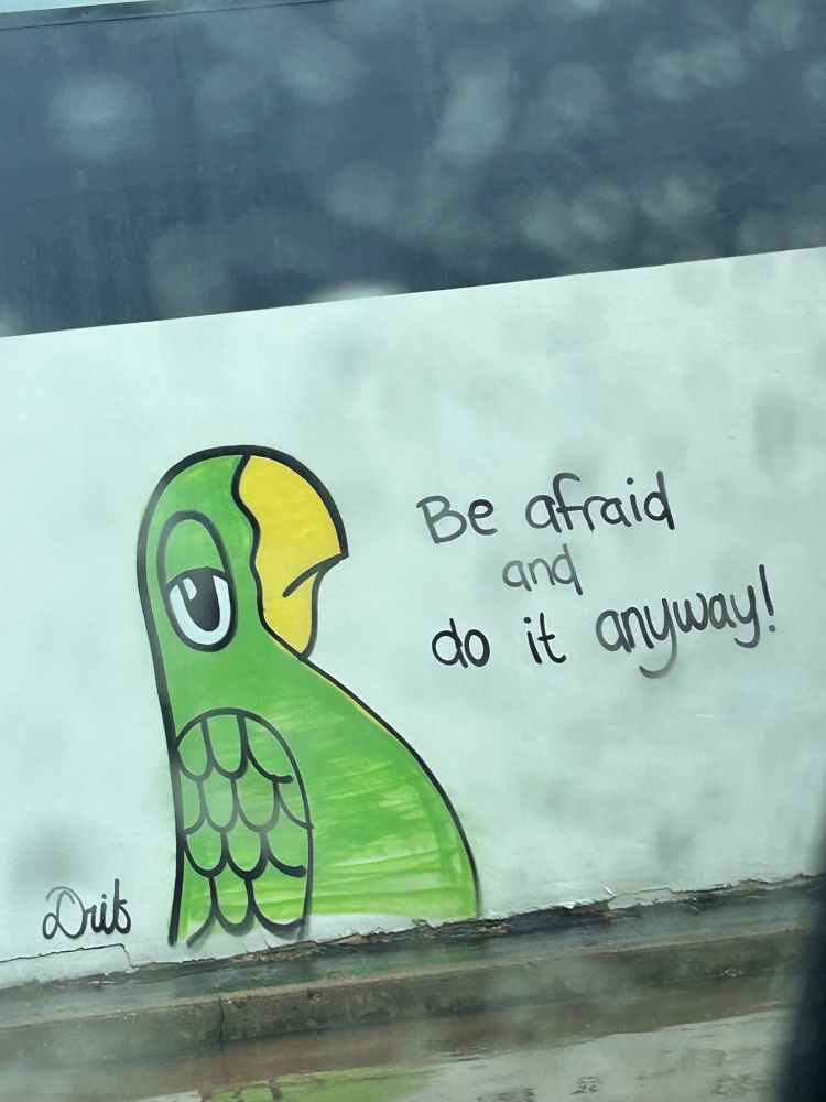 Graffiti on a wall of a parrot, with “Be afraid and do it anyway” written next to it.