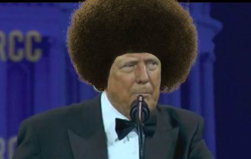 Trump with and afro to go with his blackface.
