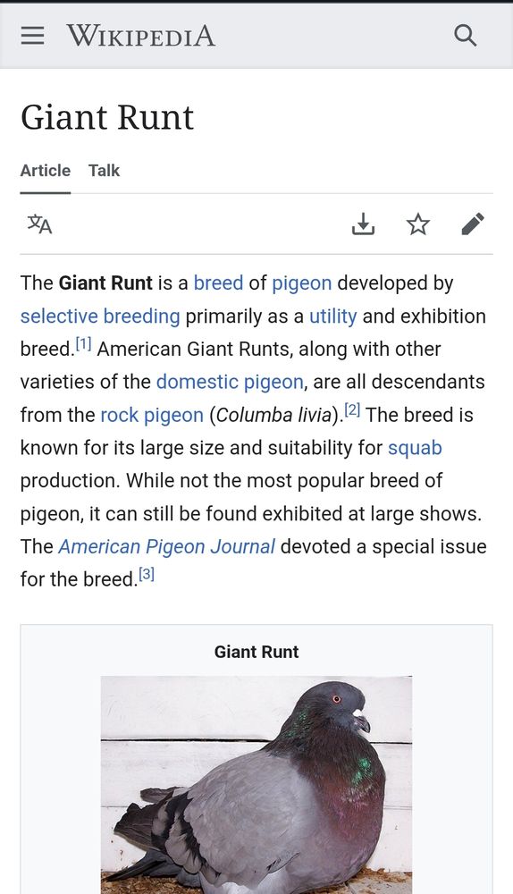 Wikipedia page for Giant Runt 