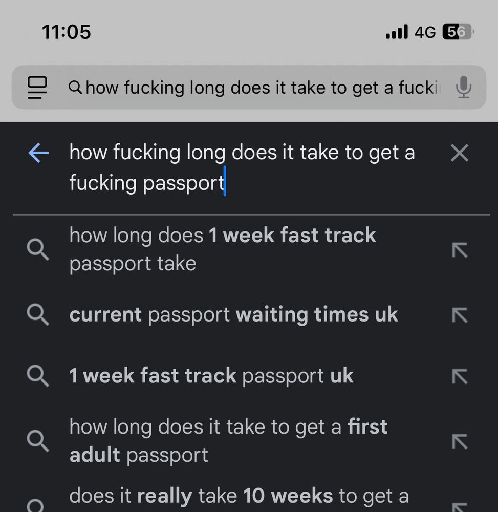 Searching “how fucking long does it take to get a fucking passport” on Google