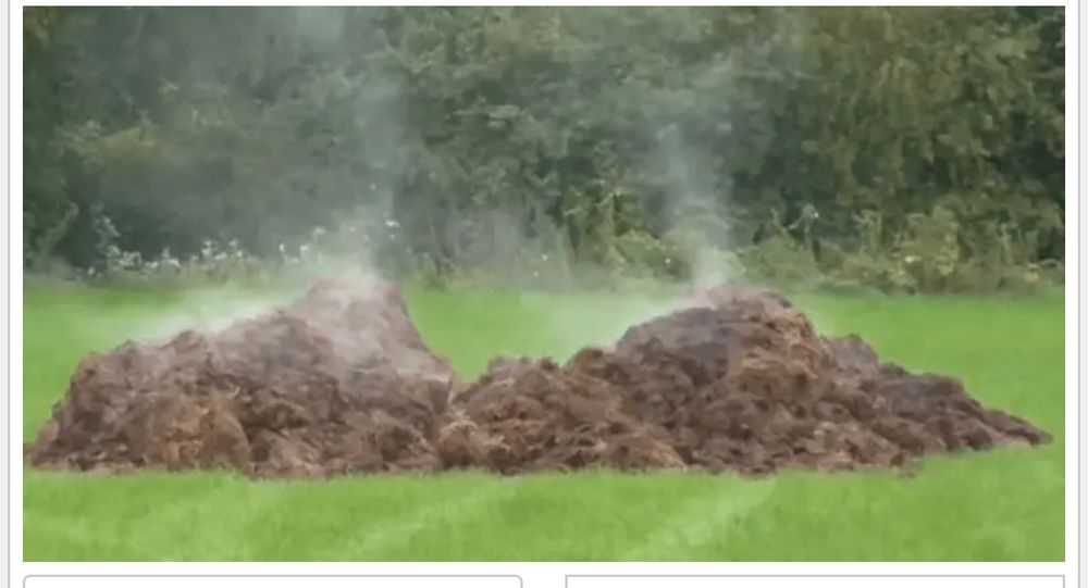 Photo of a pile of steaming horse manure in a field