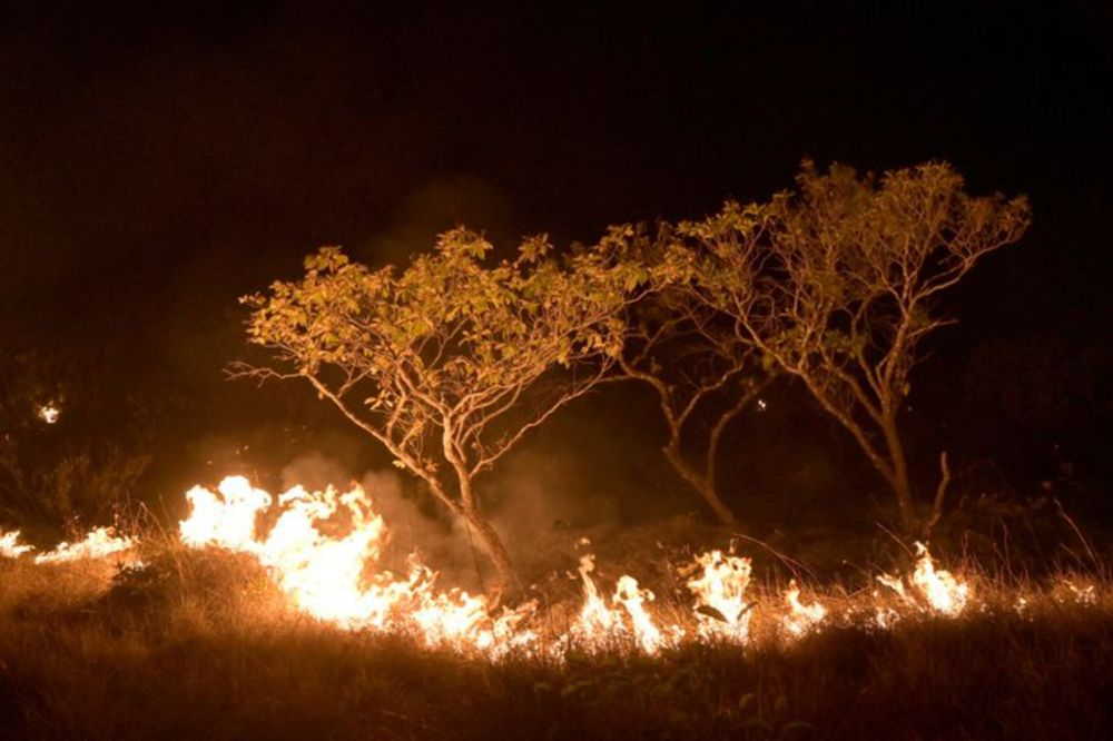 Greenhouse emissions from fires in the Amazon surge by 60%