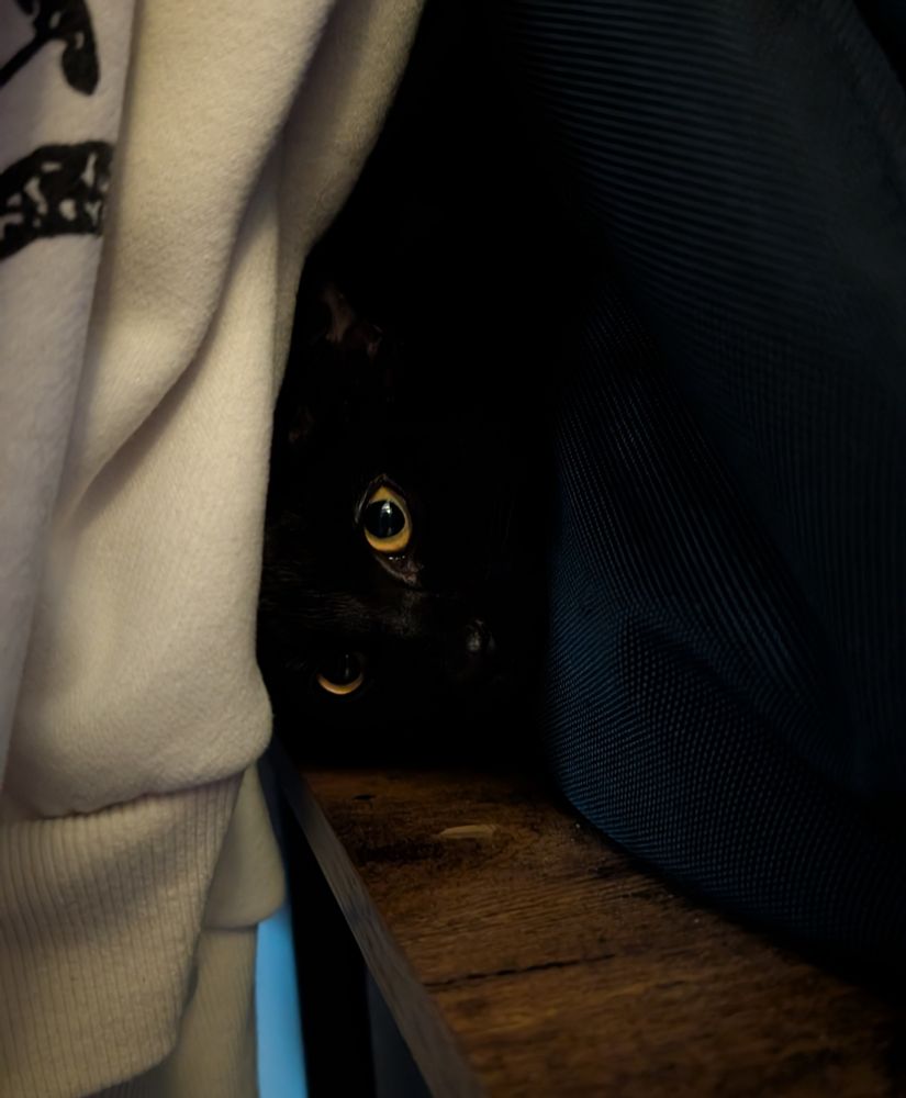 My cat staring back from darkness.