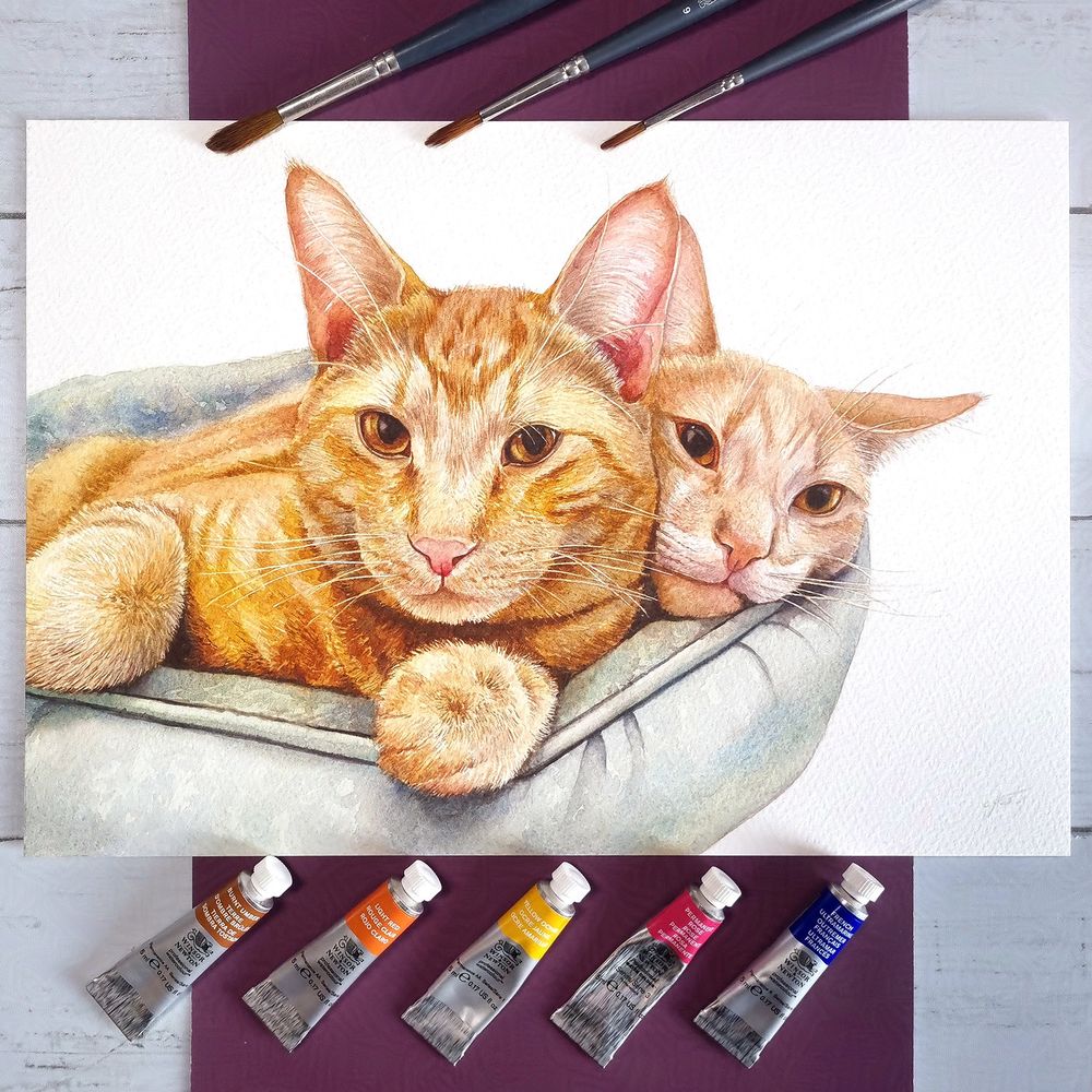 watercolour painting of two orange cats lying in a cat bed. Paint tubes across the bottom of photo and paint brushes across the top