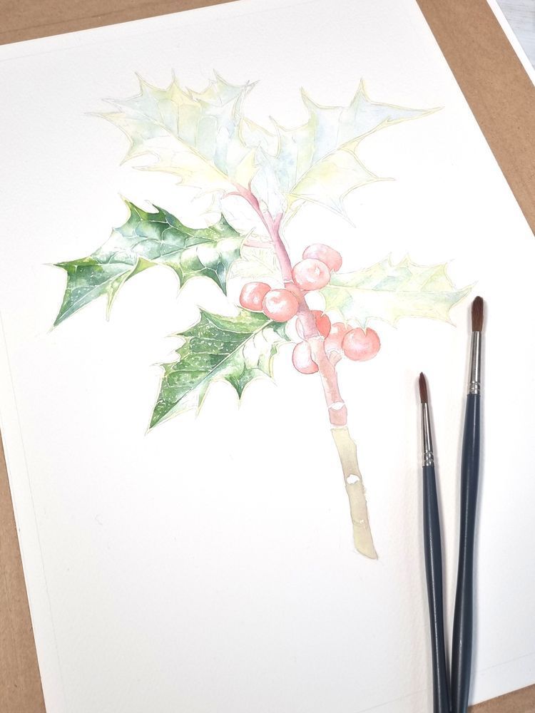 watercolour painting of holly with the first layers of paint. green leaves with red berries in the centre. paint brushes placed on the paper