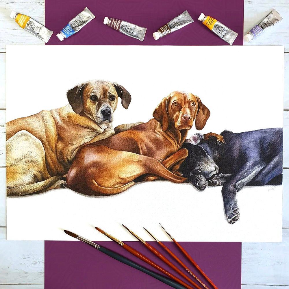 Pet portrait in watercolours of theree dogs, paint brushes at the bottom of page and paint tubes at the top