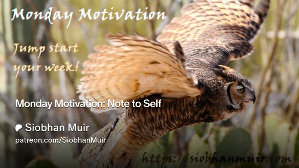 Monday Motivation: Note to Self | Siobhan Muir