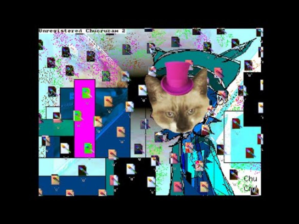 cucho2.mp4