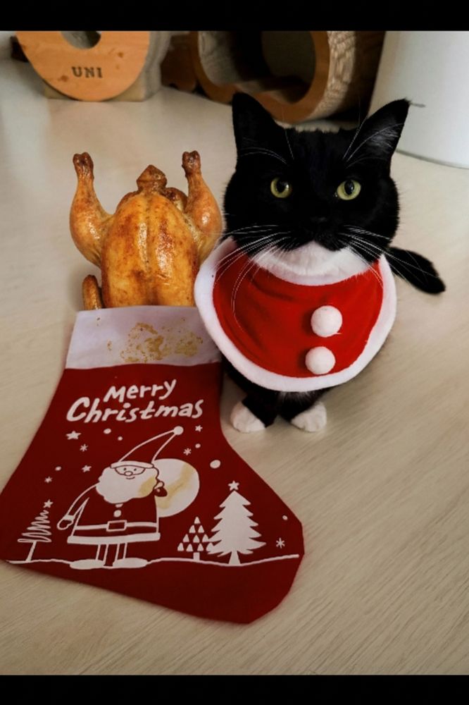 Same picture, but a whole cooked chicken is sitting at the stocking's opening. There are stains on the stocking