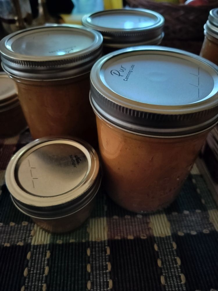 A close-up of three sealed glass jars of different sizes filled with a warm tan substance.