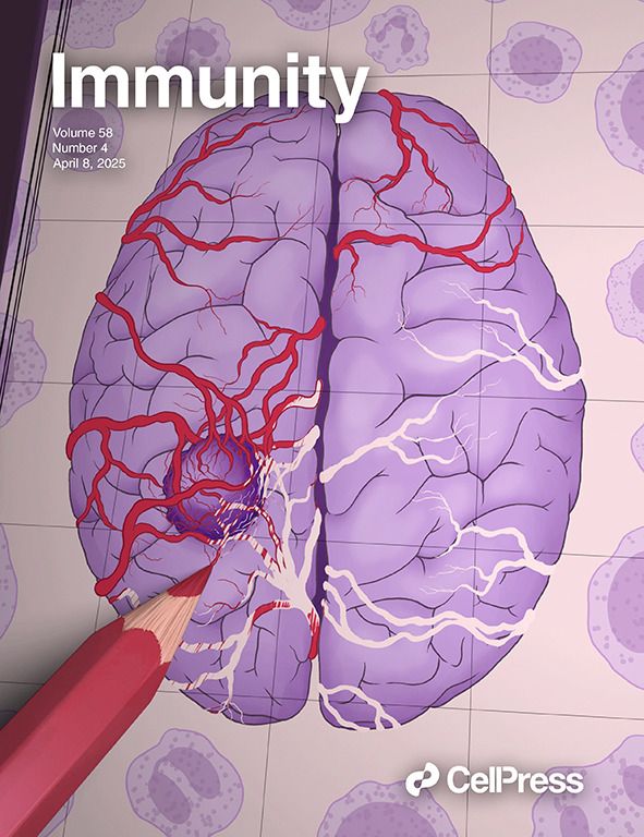 The unveiling of vascular heterogeneity is depicted as a red pencil coloring in the intricate details of tumor-associated blood vessels within a map of the human brain wherein a tumor is surrounded by diverse immune cells.