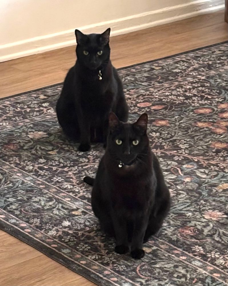 2 fat cats with no job and no skills