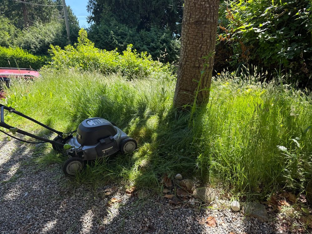 A lawn mower sits next to a tree and a yard of 14” high grass