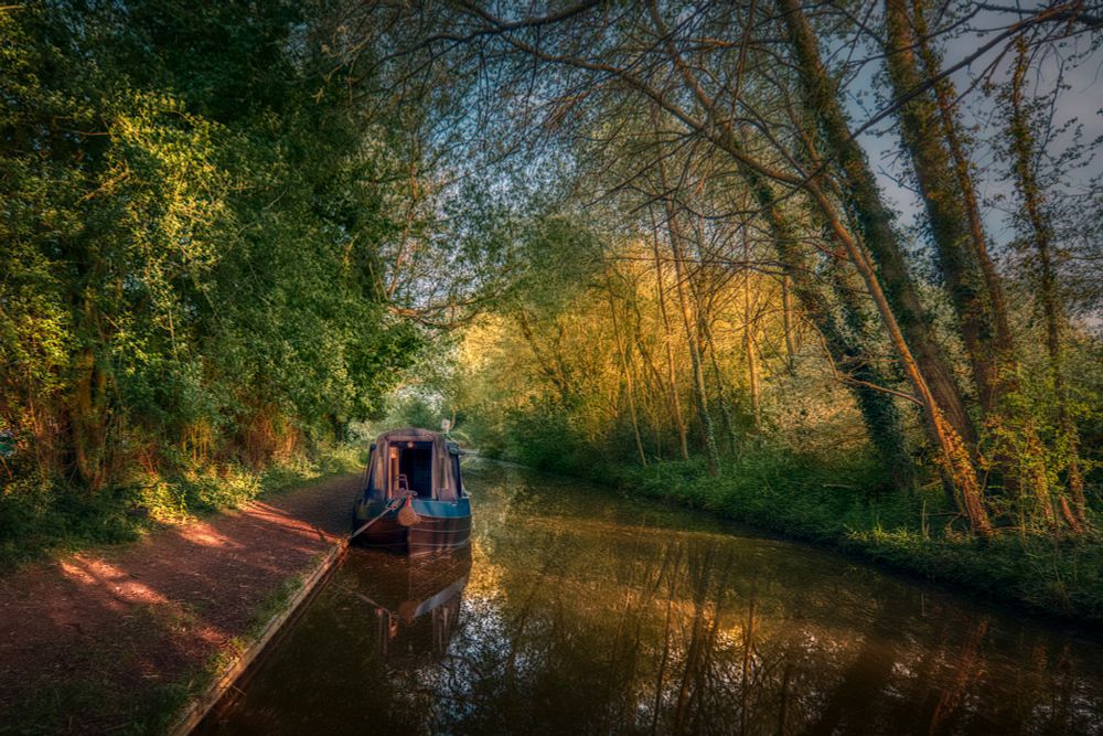 Photo of a narrowboat moored against the towpath of a canal lined with trees lit by a low evening sun.