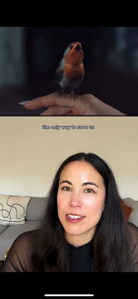 Mainly orange bird lands on Rosalia’s finger