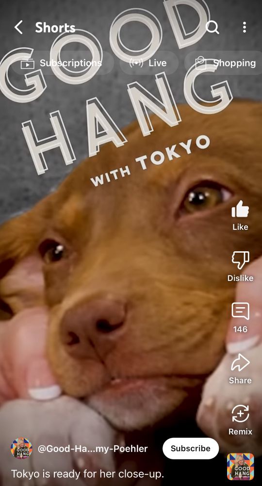 A YouTube short from Good Hang with Amy Poehler featuring Dakota Johnson’s new dog Tokyo 