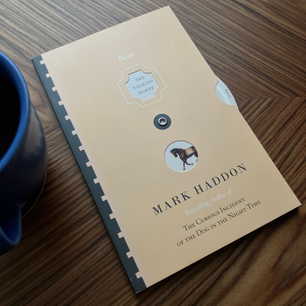 Image of a Canadian edition copy, published in April 2006, of Mark Haddon’s poetry collection The Talking Horse and the Sad Girl and the Village Under the Sea; first published in October 2005.