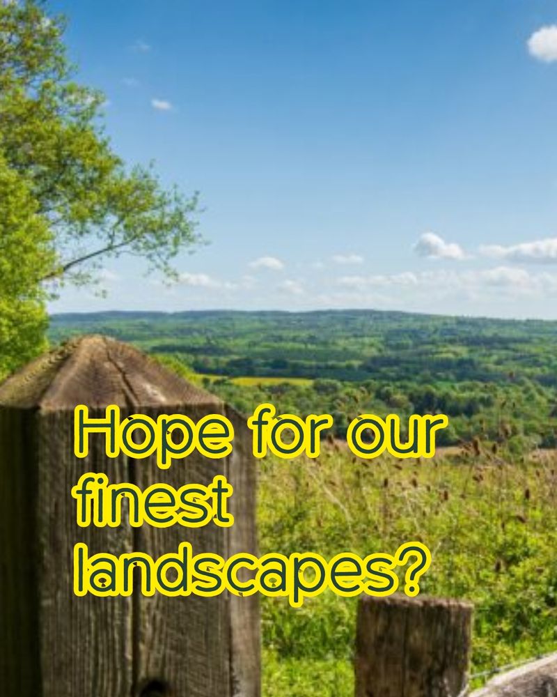 Photo of a field with a close-up of a fence. Caption on photo reads: 'Hope for our finest landscapes?'