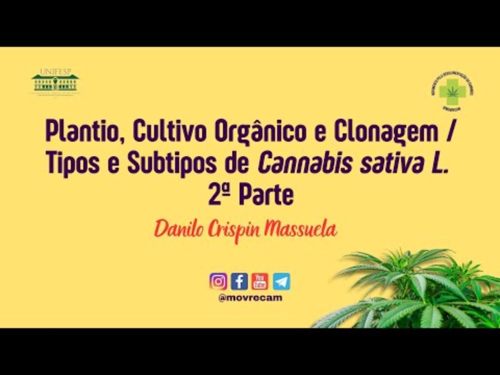 25ª aula - Plantio, Cultivo Orgânico e Clonagem da Cannabis sativa L. - 2ª Parte - Danilo Massuela