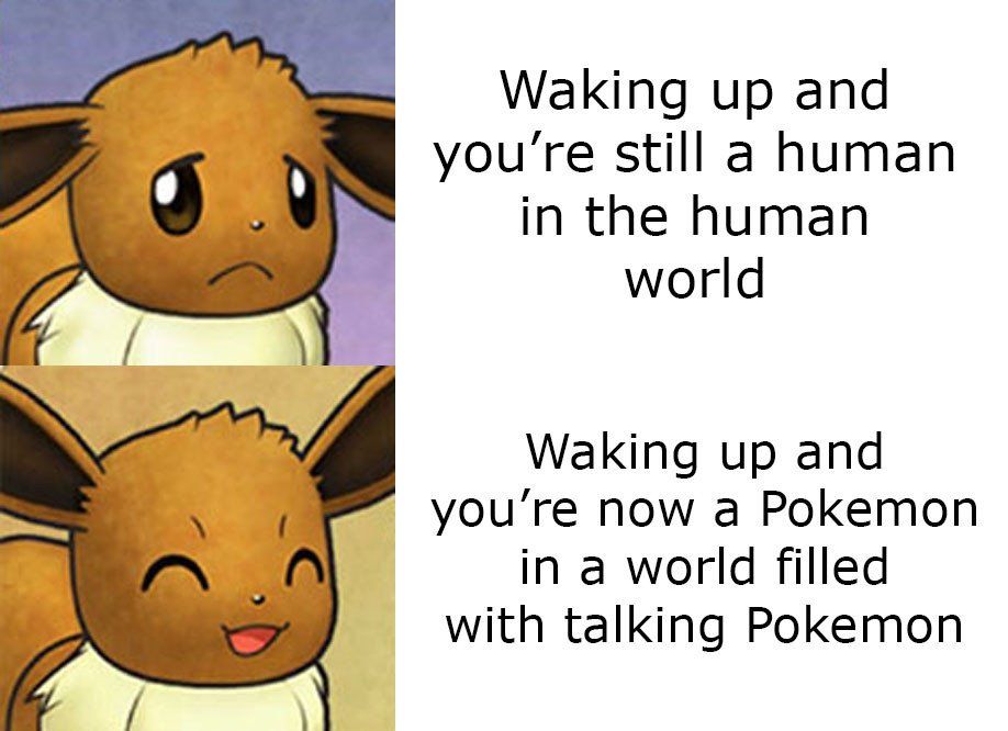 A PMD meme with a sad eevee and a happy eevee.