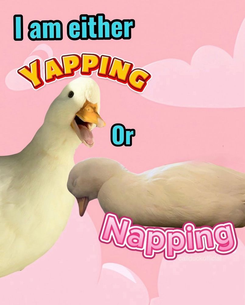 I am either
yapping 
Or
Napping