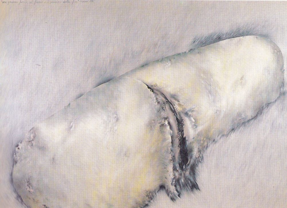 Una grande ferita al fianco, o il principio della fine.

1974.