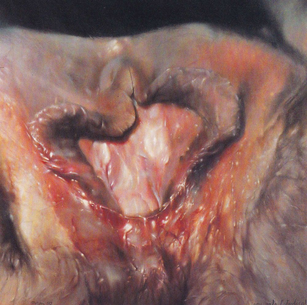 Come urla l'atrofica! 

1979.