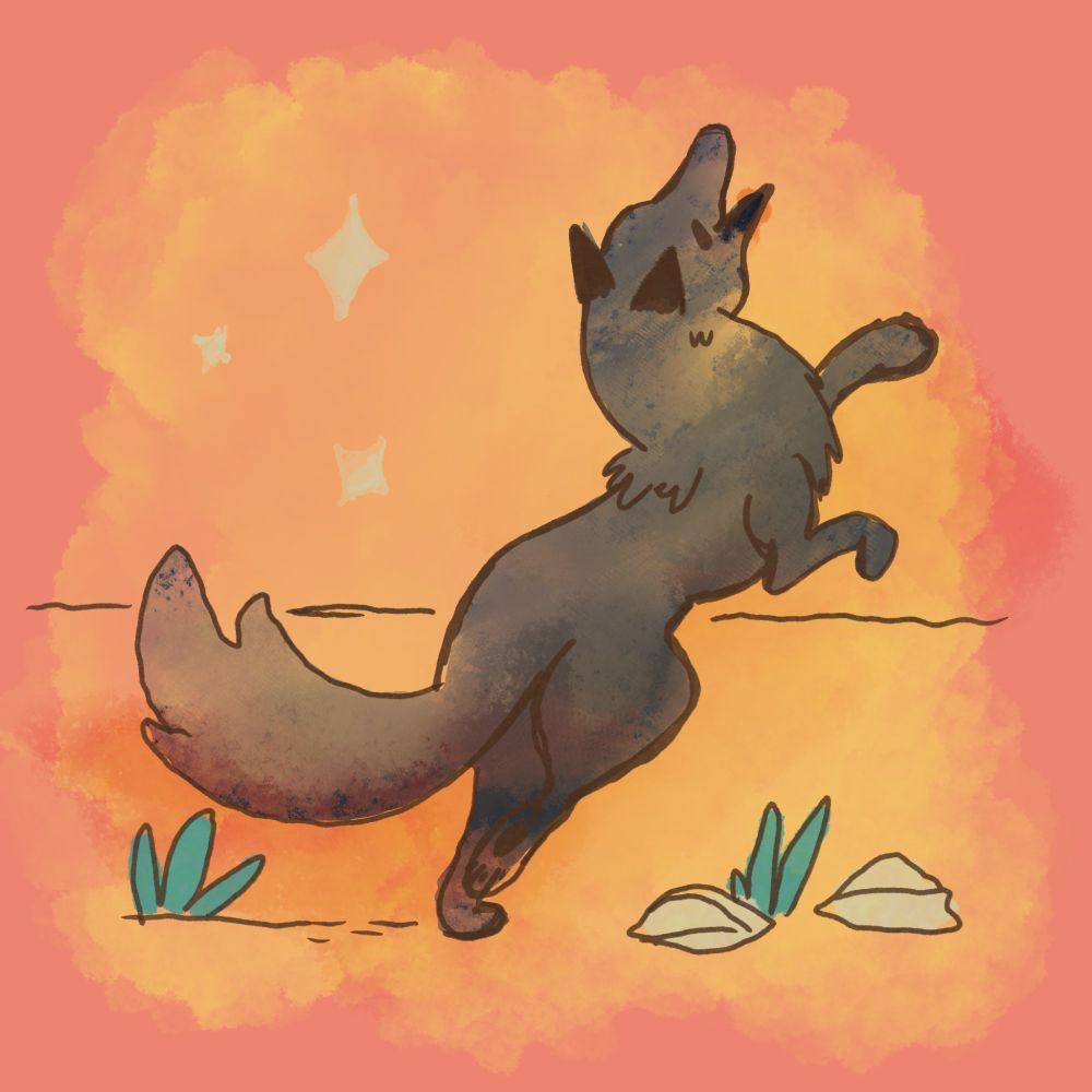 A coyote jumping in the desert