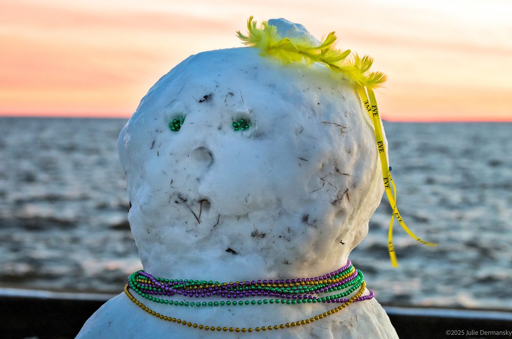 see more of my snow shots : https://www.jsdart.com/gallery/Snowfall-In-Mandeville/G0000DozkFAm12dk/C0000iVkq0tVaiAU