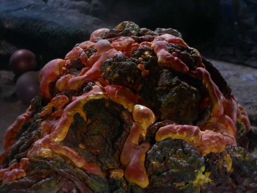 The Horta from the original series of STAR TREK. A silicon based creature, who looks like a red and black blob of rocks.

NO KILL I
