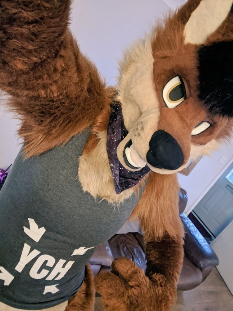 A fursuiter wearing a shirt pointing at her belly that says "YCH"