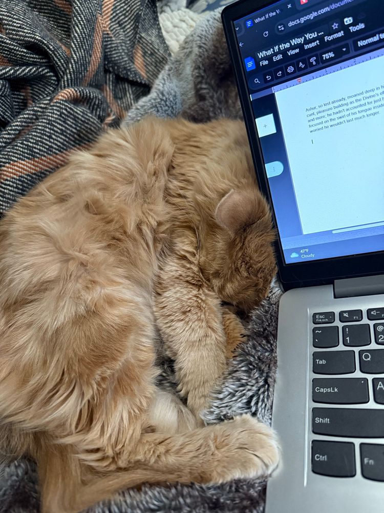 A one-eyed, orange cat cuddles next to a laptop, google docs open on the screen