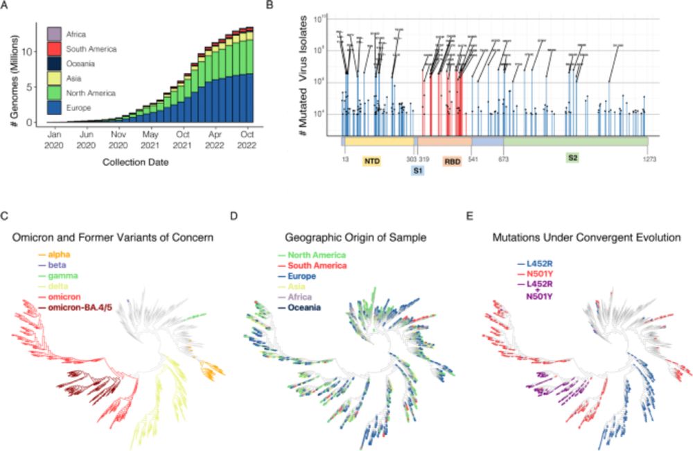 Evolutionary trajectory of SARS-CoV-2 genome shifts during widespread vaccination and emergence of O...