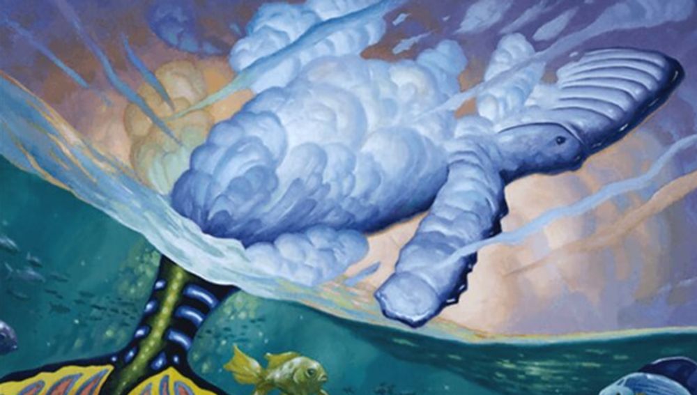 Deckbuilding Contest Finalists - July 2025 | EDHREC