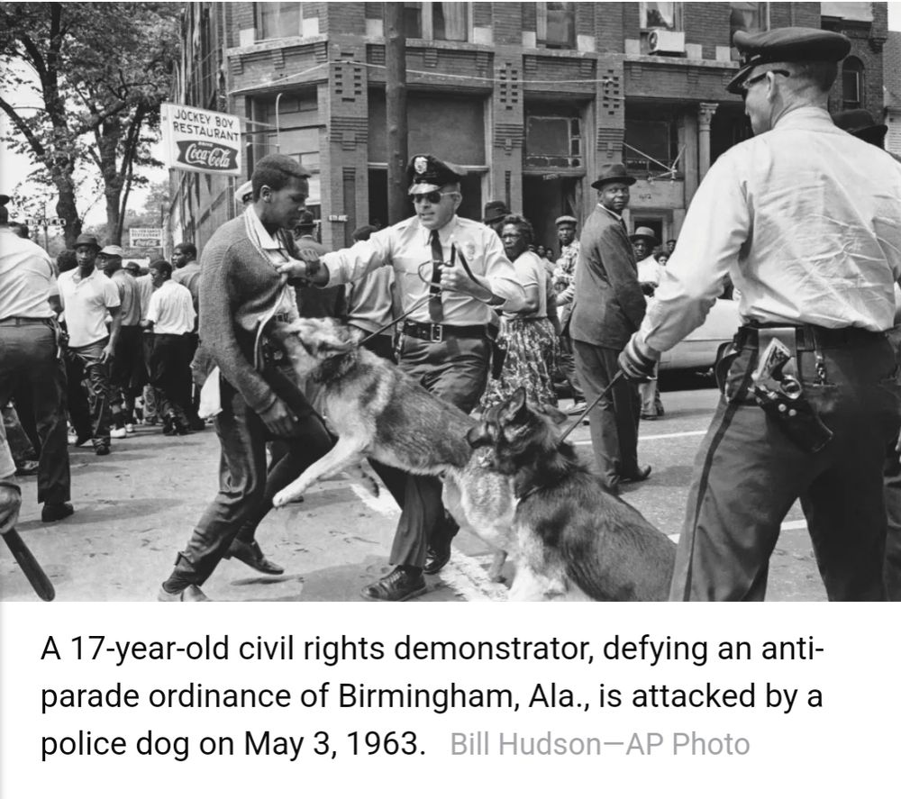 A 17 year old civil rights demonstrator, defying an anti-parade ordinance of Birmingham, Alabama, is attacked by a police dog on May 3, 1963. Photo by Bill Hudson, AP News