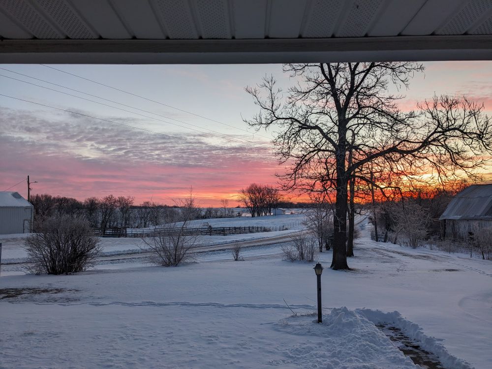 Winter sunrise scene with snow, stark winter plants, and red-orange clouds