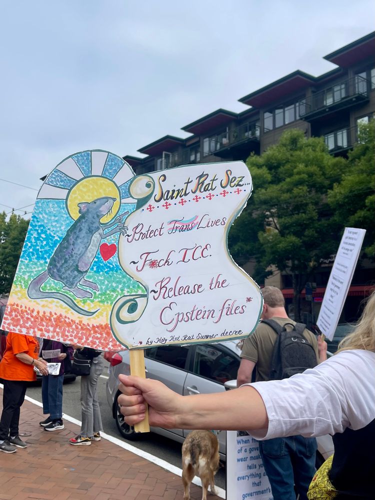 Sign with “Release the Epstein Files”