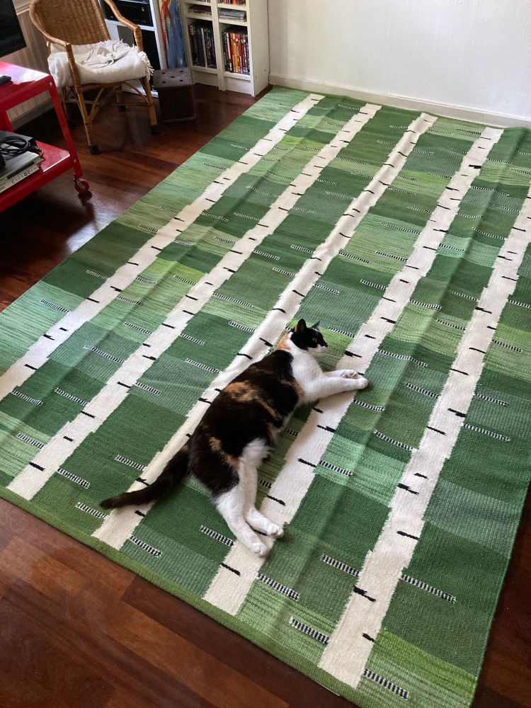 Groen vloerkleed met languit een lanpjeskat. 