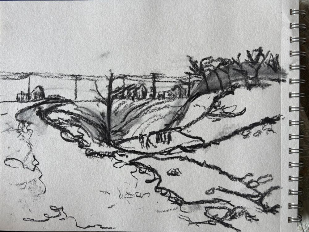 Charcoal sketch on white paper in a spiral bound sketchbook. Very rough. A pit or gully in an urban neighbourhood. In the distance are houses and hydro poles and wires. From the houses, the land goes down a hill with a wide mud path to the left. In the gully at the bottom of the hill are two patches of rough ice and group of six kids skating on it, one holding a hockey stick. One person is on the path at the left, a few people stand at the top of the hill looking down at the kids in the gully. One tall bare branch tree at the bottom of the gully, a few at the top of the hill ono the right. 