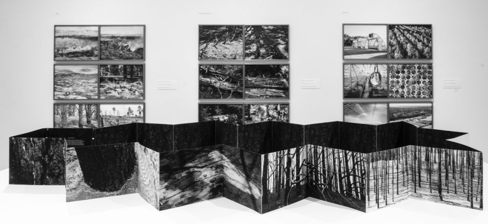 Installation view of a black and white photography exhibition with a large artist book on a table in the foreground at the Marianna Kistler Beach Museum of Art in Manhattan, Kansas.