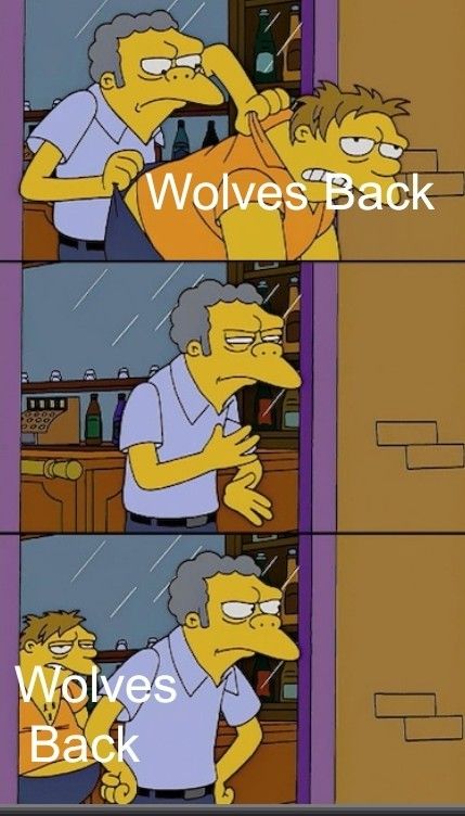 The Simpsons: Moe, throwing Barney out of his tavern meme, but Wolves Back.