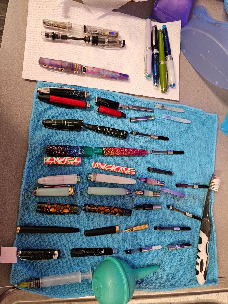 Disassembled fountain pens and cleaning supplies.