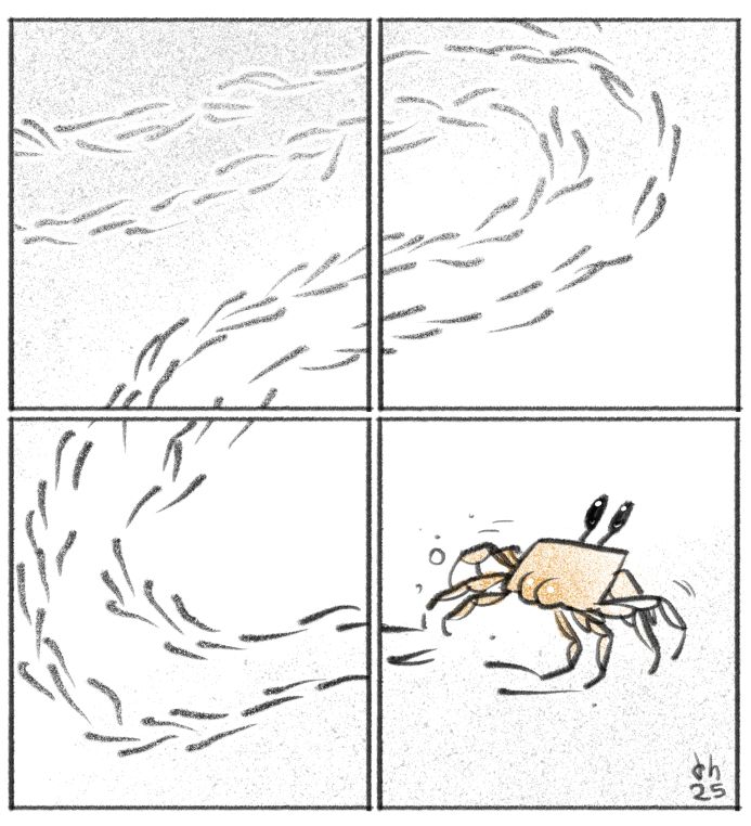 a bunch of inscrutable tracks leads to treasure (a crab's beautiful ass)