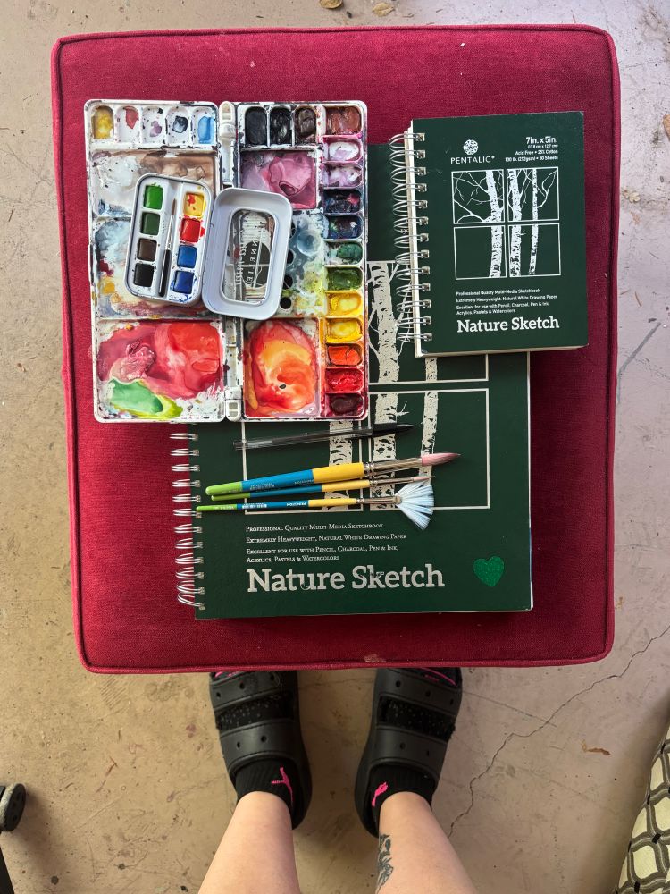 2 hardcover sketchbooks, 2 watercolor paint palettes and 3 paint brushes 
